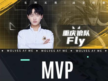 前NAVI分析师flashie成为 Team Liquid 的新教练